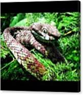 #green #viper #snake #nature Canvas Print