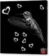 Greyscale Hummingbird - 2055 F M Canvas Print