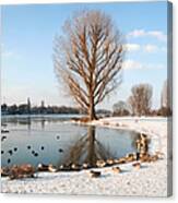 Group Of Geese Huddled Together Canvas Print