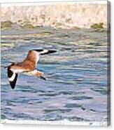 Gull Flying Over Surf Canvas Print