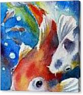 Gustave The Koi Fish Canvas Print