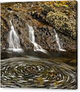 Haida Gwaii Landscape Canvas Print
