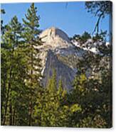 Half Dome Yosemite Canvas Print