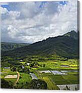 Hanalei Valley Panorama - Kauai Hawaii Canvas Print