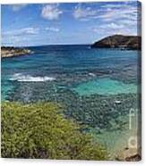 Hanauma Bay Panorama Canvas Print