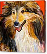 Happy Dog  --  Sheltie Canvas Print