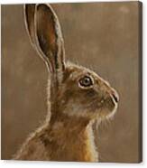 Hare Portrait I Canvas Print