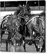 Harness Race Canvas Print