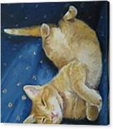 Harold The Orange Cat Canvas Print