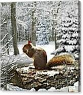 Harry In Winter 2 Canvas Print