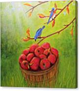 Harvest Apples And Bluebirds Canvas Print