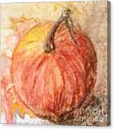 Harvest Pumpkin Canvas Print