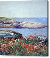 Hassam's Poppies On The Isles Of Shoals Canvas Print