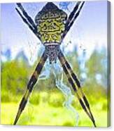 Big Beauty Hawaiian Garden Spider Canvas Print
