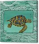 Hawaiian Sea Turtle Canvas Print