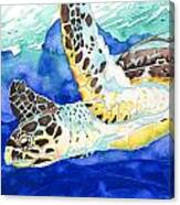 Hawksbill Sea Turtle Canvas Print