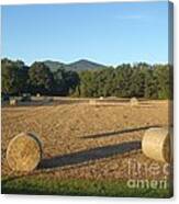 Hay Field Canvas Print