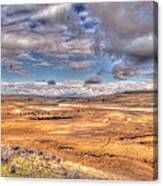 Hayden Valley Bison On Yellowstone River Canvas Print