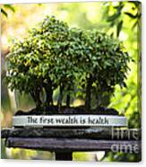 Health Is Wealth Bonsai Trees Canvas Print