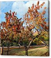 Heart Autumn Tree Canvas Print