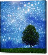 Heaven And Earth Canvas Print