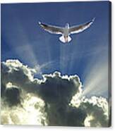 Heavenly Angel Rays - Cloudscape Canvas Print