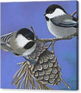 Hello Chickadees Canvas Print