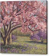 Here's The Spring Canvas Print