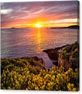 Hermit Island Sunset Canvas Print