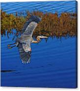 Heron Flight Digital Art Canvas Print