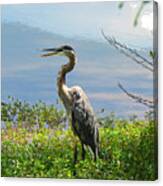 Heron On Lake Canvas Print