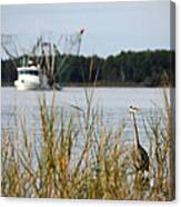 Heron Wading With Passing Shrimp Boat Canvas Print