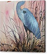 Herons Evening Shore Canvas Print