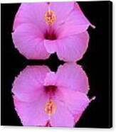 Hibiscus And Reflection Canvas Print