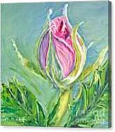Hibiscus Blossom Canvas Print