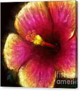 Hibiscus Canvas Print