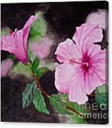 Hibiscus - So Pretty In Pink Canvas Print