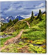 High Mountain Trail Canvas Print
