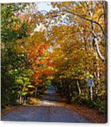 Highland Road Canvas Print