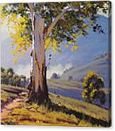 Hilly Australian Landscape Canvas Print