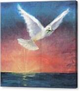 The Wings Of Peace Canvas Print