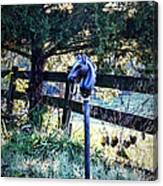 Hitching Post Canvas Print