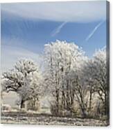 Hoar Frost On Trees In Winter Canvas Print
