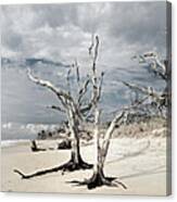 Hobcaw Boneyard Beach 2 Canvas Print