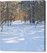 Hoist Lake Trail Canvas Print