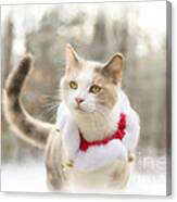Holiday Cat Canvas Print