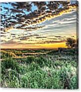 Home On The Range Canvas Print