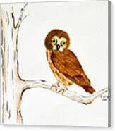 Hoo's A Baby Owl? Canvas Print