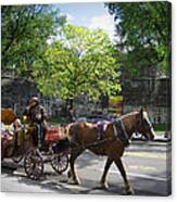 Horse And Buggy Canvas Print