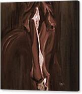 Horse Apple Warm Brown Canvas Print